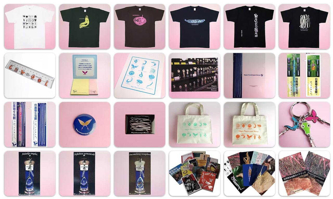 🔬 메구로 기생충관 (目黒寄生虫館) 이미지 6